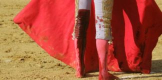 La sangre de Perera manchando la taleguilla. (FOTO: Tauroburgos/Burladero.com)